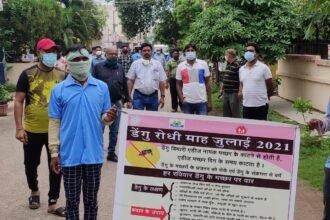 Mosquito larvae found in coolers, pots and dustbins, notice to fine from 5 to 9