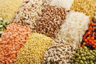 So far 42 samples of seeds and 45 samples of fertilizers have been found non-standard in the quality