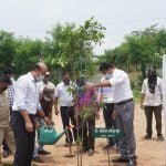 One Home One Tree campaign started with plantation in vehicle branch