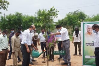 One Home One Tree campaign started with plantation in vehicle branch