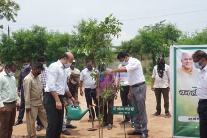 One Home One Tree campaign started with plantation in vehicle branch