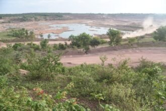 Big news: India's largest man-made forest will be built in Nandini's vacant mines