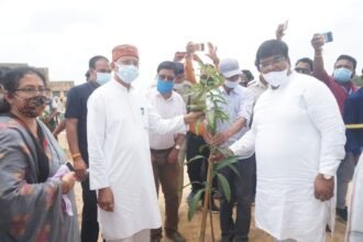 Home Minister Tamradhwaj Sahu inaugurated Forest Demonstration Farm by planting saplings at Ani in Korea district