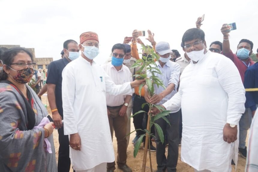 Home Minister Tamradhwaj Sahu inaugurated Forest Demonstration Farm by planting saplings at Ani in Korea district