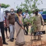 One Home One Tree Campaign: Tulsi Sahu, President of District Congress Committee Bhilai