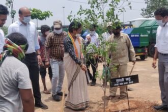 One Home One Tree Campaign: Tulsi Sahu, President of District Congress Committee Bhilai
