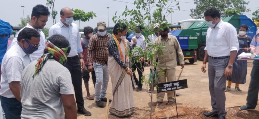 One Home One Tree Campaign: Tulsi Sahu, President of District Congress Committee Bhilai