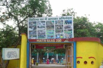 The city parks will be buzzing again… Order issued by the commissioner to start