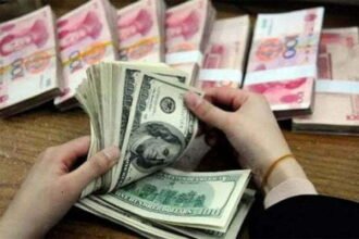 Treasury full of country: Foreign exchange reserves at record high