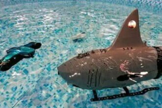 समुद्र में चीन ने बढ़ाई टेंशन, शार्क जैसा दिखने वाला रोबोटिक ड्रोन किया तैयार