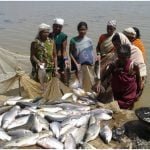 Decision of Bhupesh government increased: Fish farming got the status of agriculture in Chhattisgarh