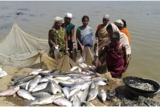 Decision of Bhupesh government increased: Fish farming got the status of agriculture in Chhattisgarh