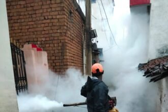 Corporation launched a big campaign for prevention of dengue and eradication of mosquitoes