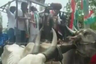 तेल और गैस की महंगाई के खिलाफ बैलगाड़ी पर कांग्रेस का प्रदर्शन, हो गया हादसा; देखें वीडियो