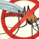 Initiative to make the border villages of the state malaria free… Joint campaign of Chhattisgarh and Madhya Pradesh