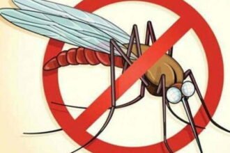 Initiative to make the border villages of the state malaria free… Joint campaign of Chhattisgarh and Madhya Pradesh