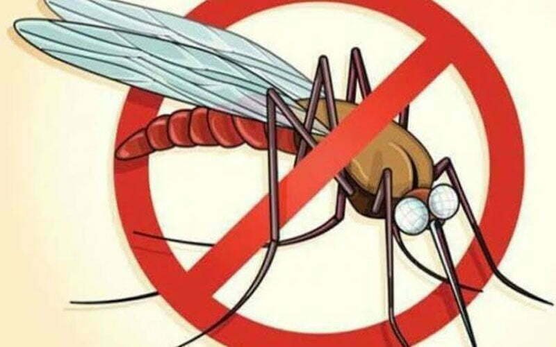 Initiative to make the border villages of the state malaria free… Joint campaign of Chhattisgarh and Madhya Pradesh