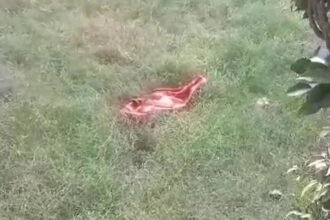 शर्मसार कर देने वाली घटना: पैदा होते ही दो बच्चियों को अस्पताल की पार्किंग में फेंका, एक को कुत्तों ने नोच डाला