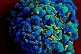 कोरोना के बाद अब नोरोवायरस ने बढ़ाई चिंता, जानें क्या है नोरोवायरस, लक्षण और बचाव के उपाय