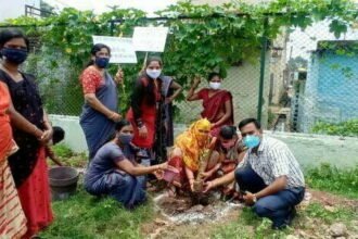 वन होम वन ट्री अभियान के तहत शास्त्रीनगर वार्ड-19 में आंगनबाड़ी कार्यकर्ता व मितानिनों ने किया पौधरोपण