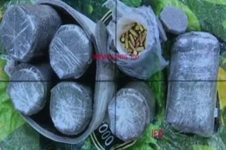 Pak's nefarious act in Punjab: Weapons dropped by drone in Amritsar