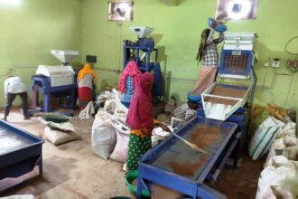 Success Story: Chhattisgarh Millet Mission… Malnutrition will decrease