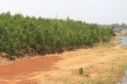 Riverbank Planting: The river bank will be the center of attraction
