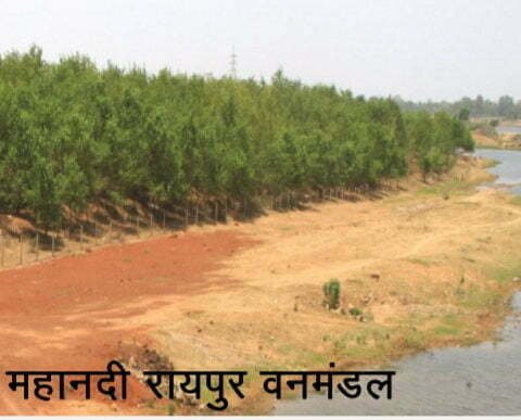 Riverbank Planting: The river bank will be the center of attraction