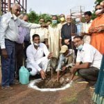 Plantation program on Hariyali Teej: MLA Devendra Yadav planted saplings