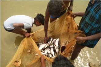 Success story: A pond made of MGNREGA gave a new means of livelihood