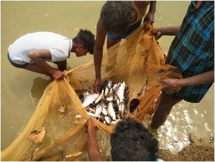 Success story: A pond made of MGNREGA gave a new means of livelihood