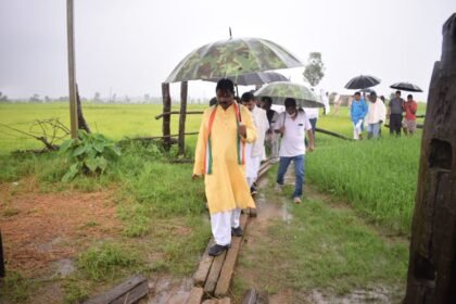 Food Minister Amarjit Bhagat reached among the elephant affected by walking on