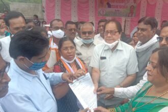 Step-by-step behavior of the Central Government in the allocation