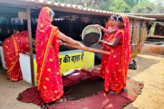 By selling vermi compost and earthworms, women earned Rs 6 lakh in 6 months