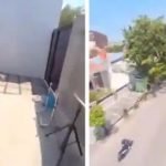 VIRAL VIDEO: मोबाइल फोन ले उड़ा तोता, कैमरे से बनाया शानदार वीडियो, लोग बोले- टैलेन्टेड है