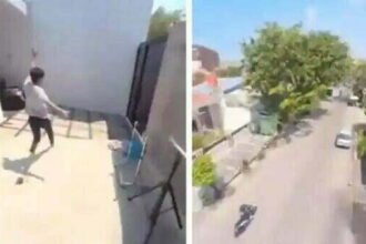 VIRAL VIDEO: मोबाइल फोन ले उड़ा तोता, कैमरे से बनाया शानदार वीडियो, लोग बोले- टैलेन्टेड है