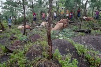 Effect of rose in Chhattisgarh: Heavy rain in Bastar