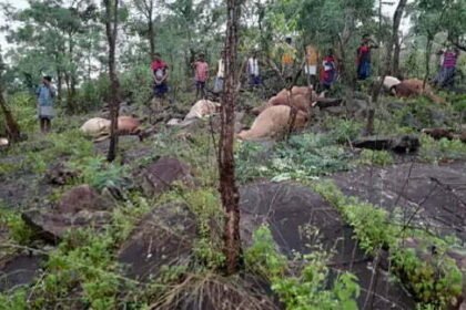 Effect of rose in Chhattisgarh: Heavy rain in Bastar