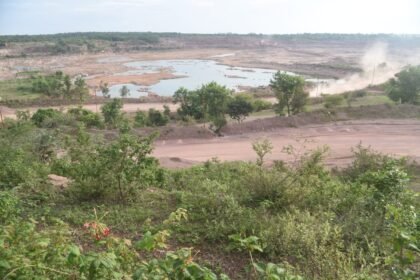 More than 83 thousand saplings were planted in 2500 acres of Nandini mines