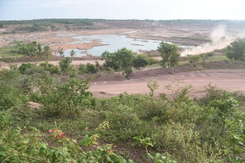 More than 83 thousand saplings were planted in 2500 acres of Nandini mines