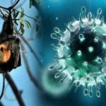 Another threat in Kerala amid Corona: 12-year-old child dies due to Nipah virus