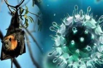 Another threat in Kerala amid Corona: 12-year-old child dies due to Nipah virus
