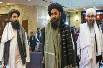 The new education minister said PhD and master's degrees are useless