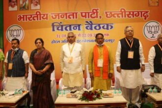 Decision to bet on new faces in the assembly elections