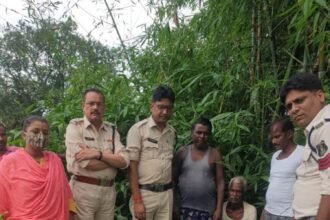 Was cultivating ganja at home… Police raided and uprooted and confiscated with roots