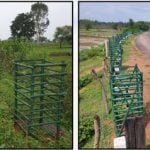 सड़क किनारे लहलहाएगी हरियाली: प्रदेश की 205 किलोमीटर लंबाई में डेढ़ लाख से अधिक पौधों का रोपण प्रगति पर