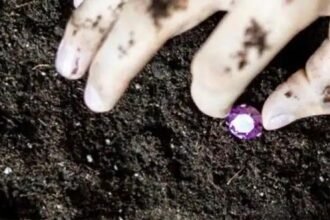 पन्ना की तमन्ना है कि हीरा मुझे मिल जाए… पूरी हुई मुराद, 4 मजदूरों को मिला 40 लाख का हीरा