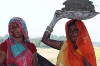 ई-श्रम पोर्टल: अब तक एक करोड़ से अधिक श्रमिकों ने कराया पंजीकरण, आप भी उठा सकते हैं लाभ, ये है प्रोसेस