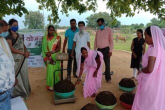 The figure of purchase of cow dung in Chhattisgarh has crossed Rs 100 crore