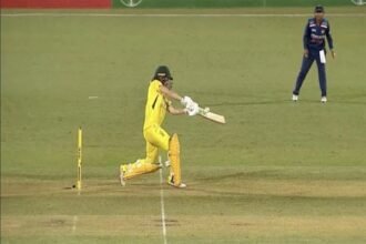 अंपायर ने आखिरी ओवर की अंतिम गेंद को बताया नो बॉल, भारत की हार के बाद फैसले पर विवाद